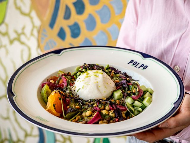 Polpo Brasserie & Plage Salade burrata des Pouilles