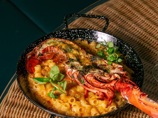 Polpo Lobster mac & cheese